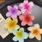 🌸🌼Beautiful Flower Hair Claw Clip – Elegant & Trendy! ✨🌸
‎